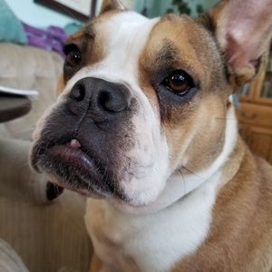 Meet your Posher, Ewing